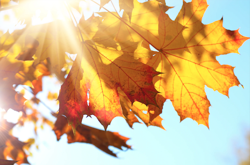 herfstvakantie